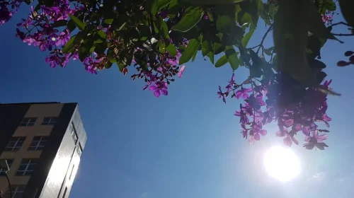 tempo - frio - sol -
